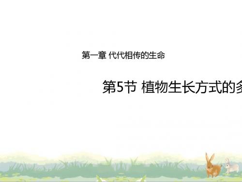 植物生殖方式的多样性PPT精品课件6