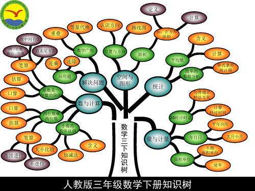 三年级数学下册知识树