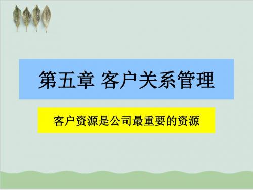 客户关系管理的基本理论PPT课件( 56页)