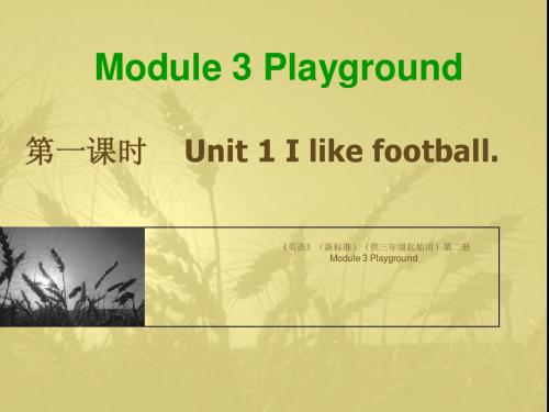 Module 3 Playground课件