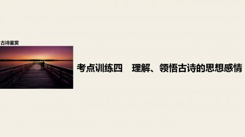 步步高全国通用高考语文一轮复习 第二章 古诗鉴赏 考点训练四 理解领悟古诗的思想感情课件 新人教