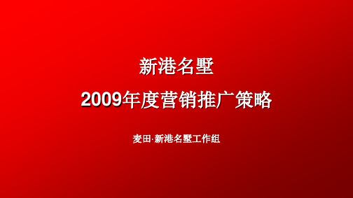 090119新港09年度营销推广策略