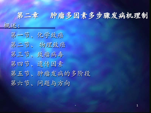 学习课件第2章_肿瘤多因素多步骤发病机理制ppt课件
