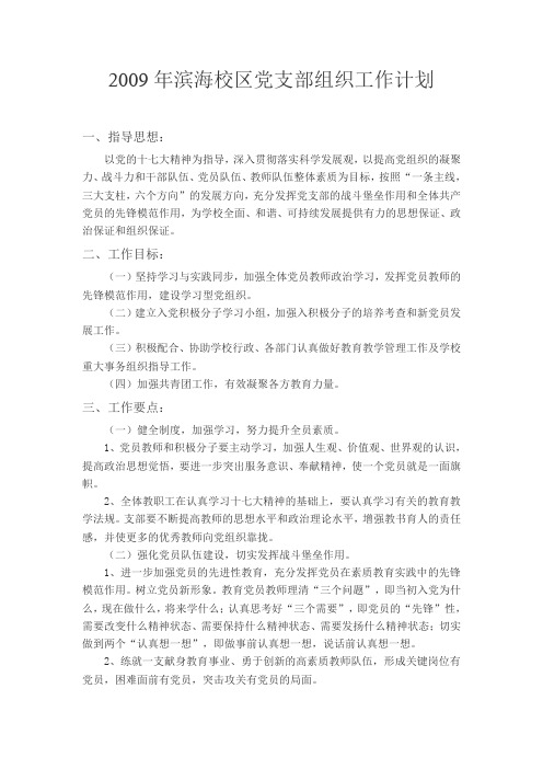 2009年党支部组织工作计划