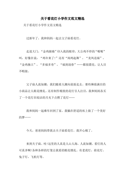 关于看花灯小学作文范文精选