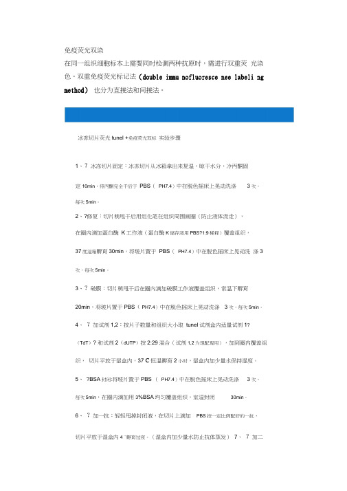 免疫荧光双染