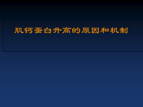 肌钙蛋白增高的意义PPT课件