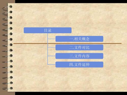 新财税