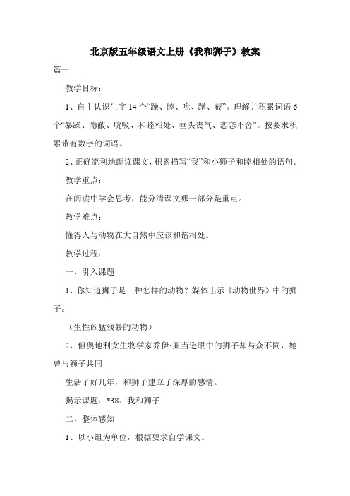 北京版五年级语文上册《我和狮子》教案.doc