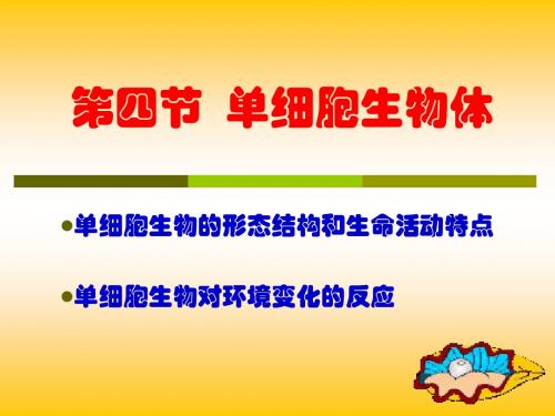 冀少版七年级生物上册第一单第四节单细胞生物体PPT课件
