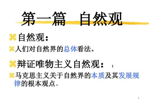 自然观