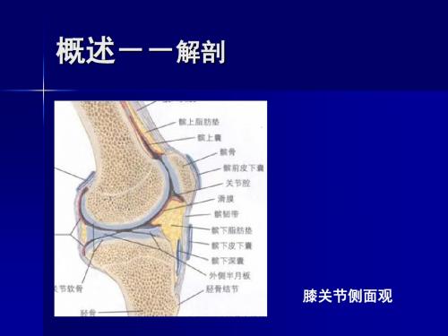 膝关节滑膜炎的诊断与治疗PPT课件