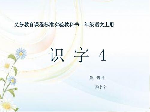 一语下识字4第一课时