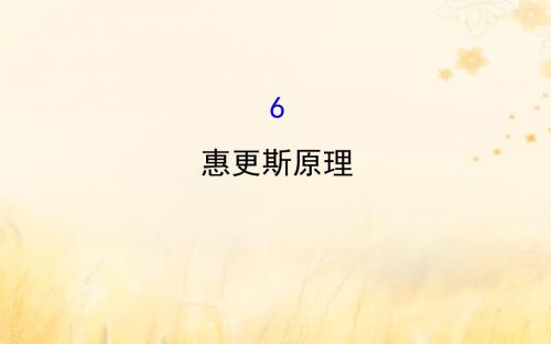 2018_2019学年高中物理第12章机械波12.6惠更斯原理课件新人教版选修3_4