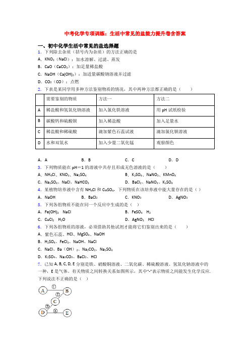 中考化学专项训练：生活中常见的盐能力提升卷含答案
