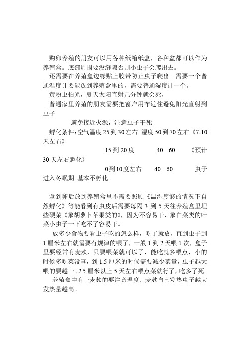 黄粉虫养殖技术