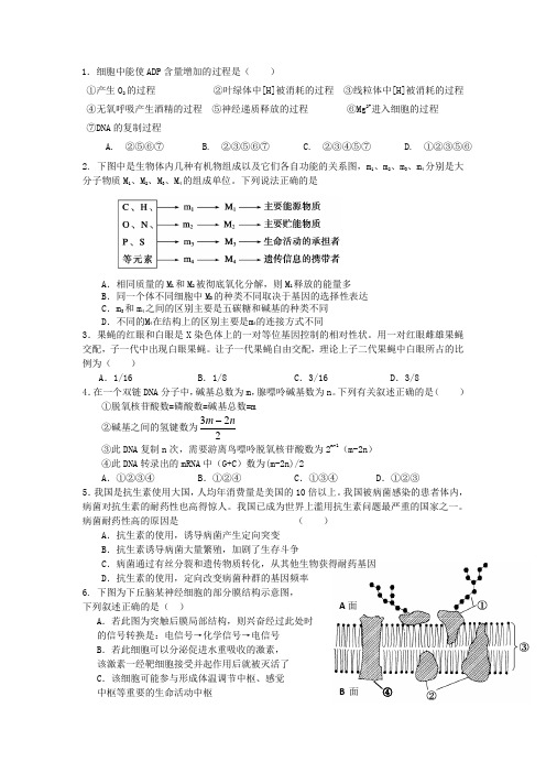 理综生物试题10