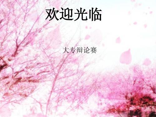 辩论赛 ppt