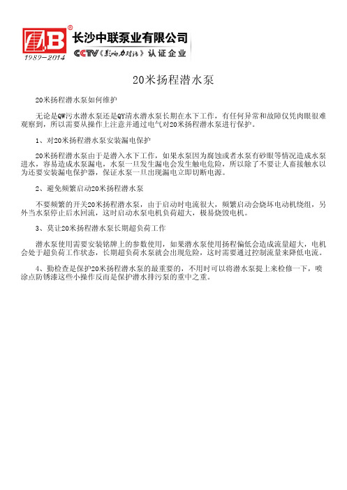 20米扬程潜水泵