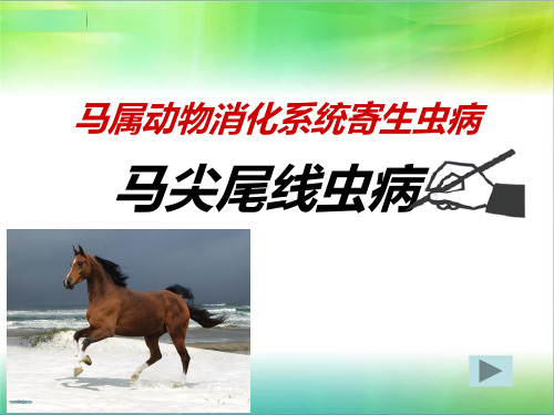 马尖尾线虫病