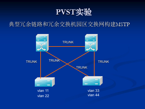 3-PVST实验