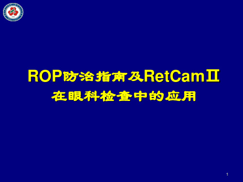 rop培训讲课ppt课件