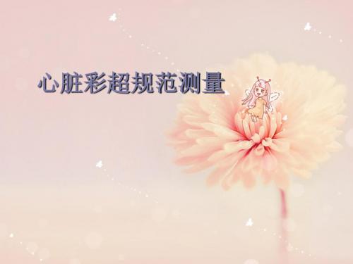 心脏彩超规范测量