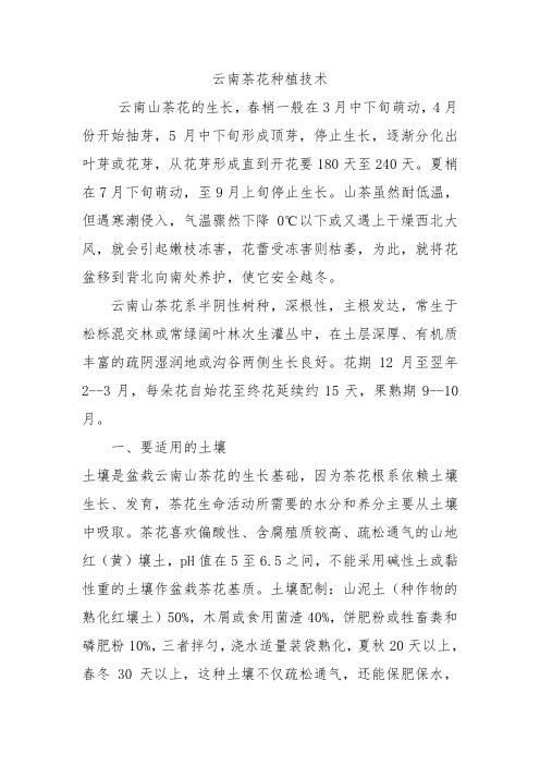 云南茶花种植技术