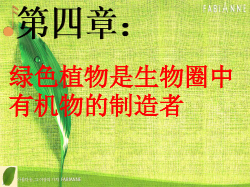 人教版初中生物七上 3.4 绿色植物是生物圈中有机物的制造者 课件 (共16张PPT) (1)