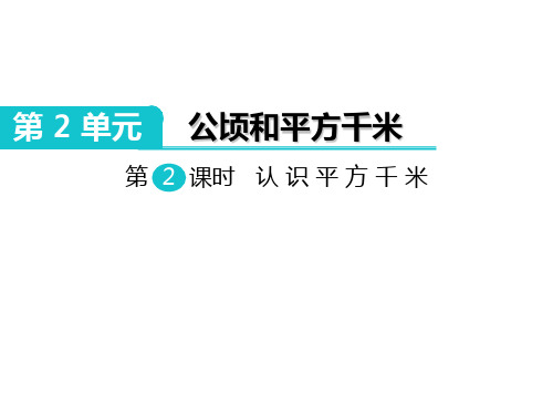 四年级上册认识平方千米人教新课标1