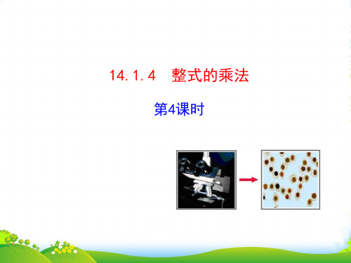 人教版数学八年级上册 《14.1.4整式的乘法》优质课件1