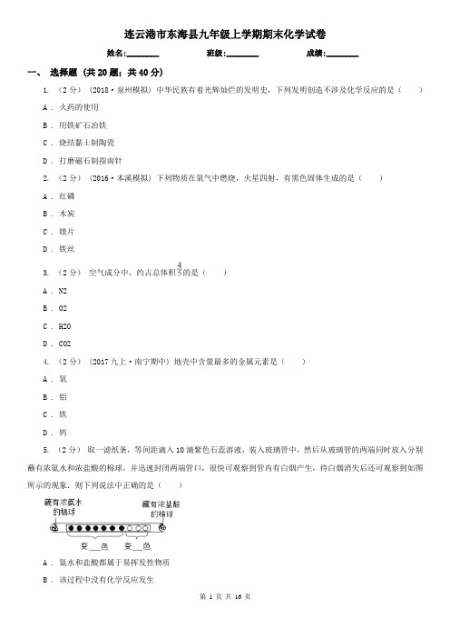 连云港市东海县九年级上学期期末化学试卷
