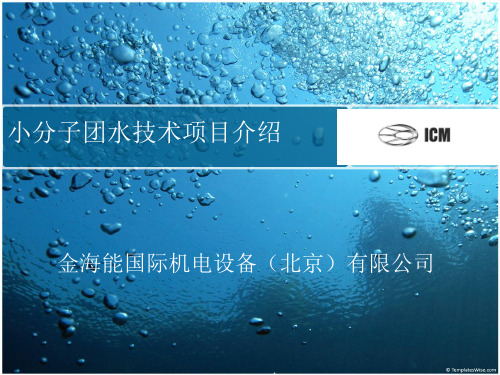 1小分子介绍ppt
