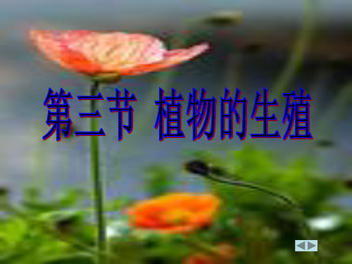 植物的无性生殖完整ppt课件