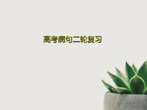 高考病句二轮复习共42页PPT