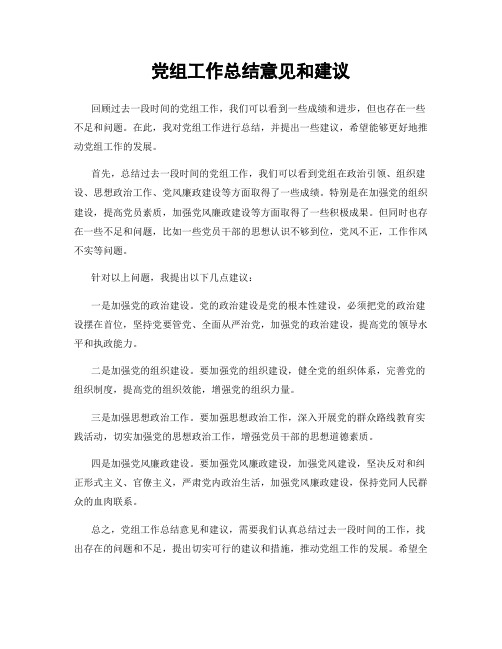 党组工作总结意见和建议