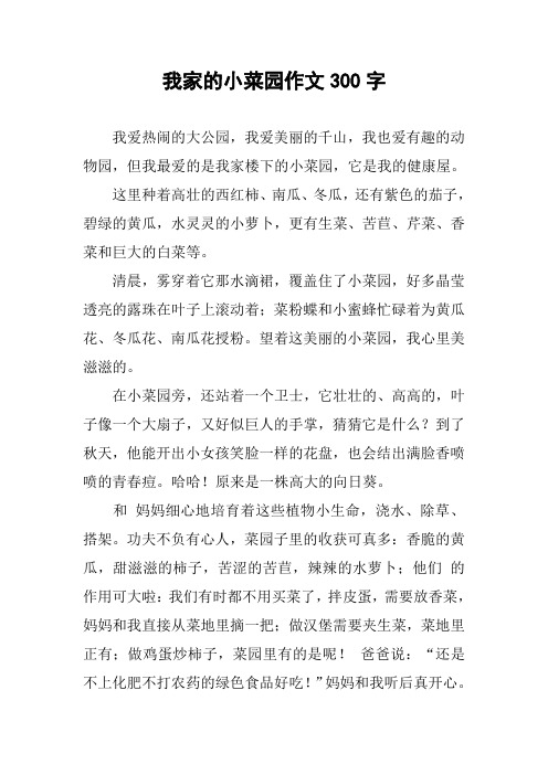 我家的小菜园作文300字