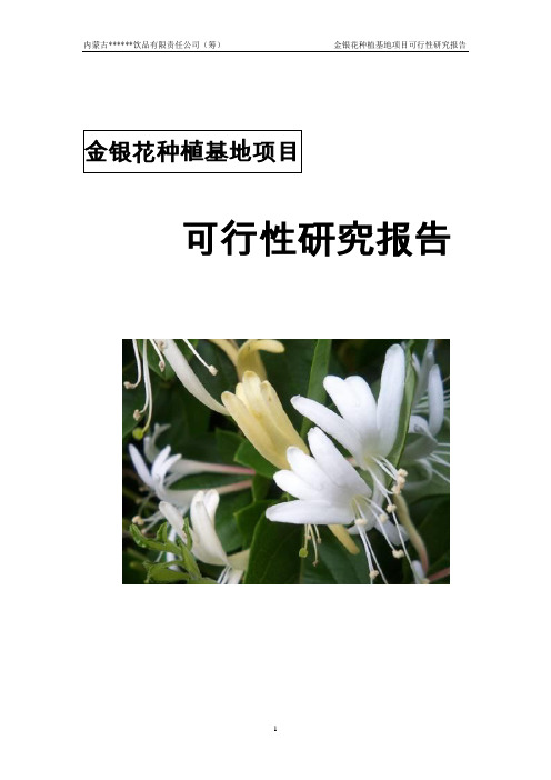 金银花种植与产业化可行性研究报告