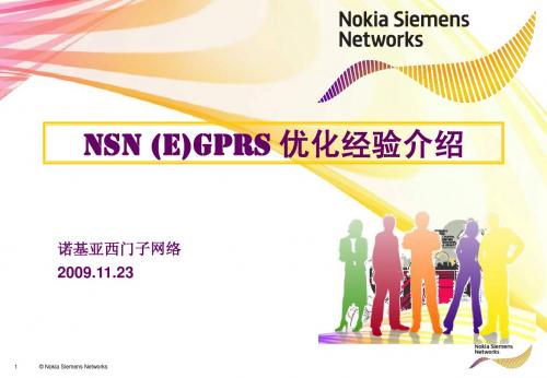 NSN_EGPRS优化经验介绍