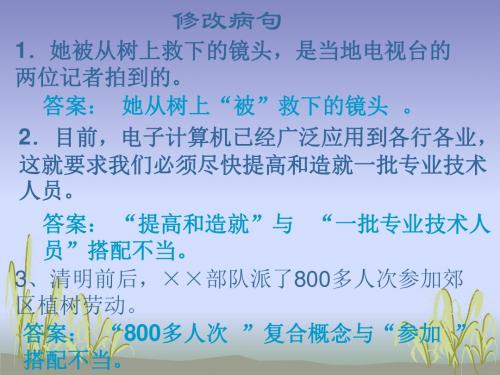 2020届高三语文病句2