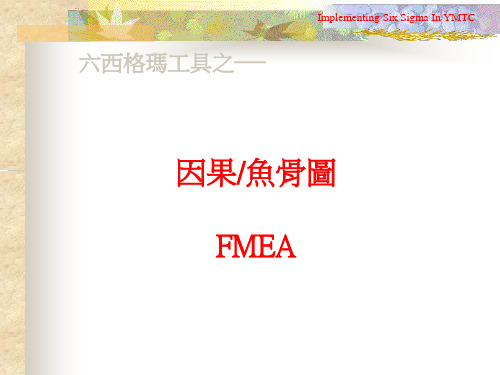 6σ和因果图FMEA