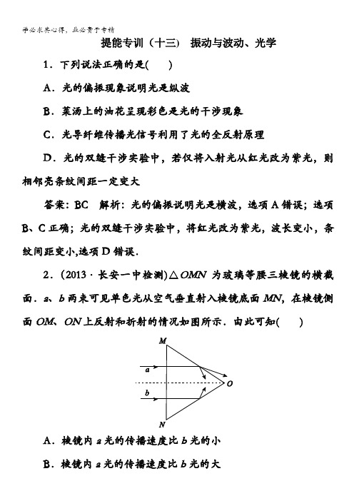 2014高考物理名师指导提能专训十三：振动与波动、光学(含解析)