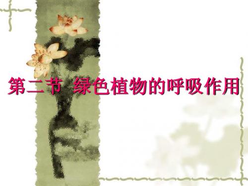 绿色植物的呼吸作用ppt