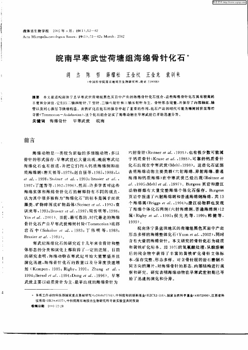 皖南早寒武世荷塘组海绵骨针化石