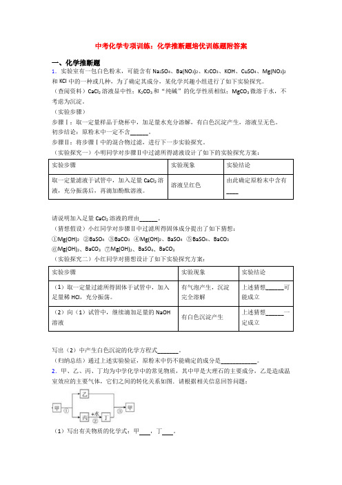 中考化学专项训练：化学推断题培优训练题附答案