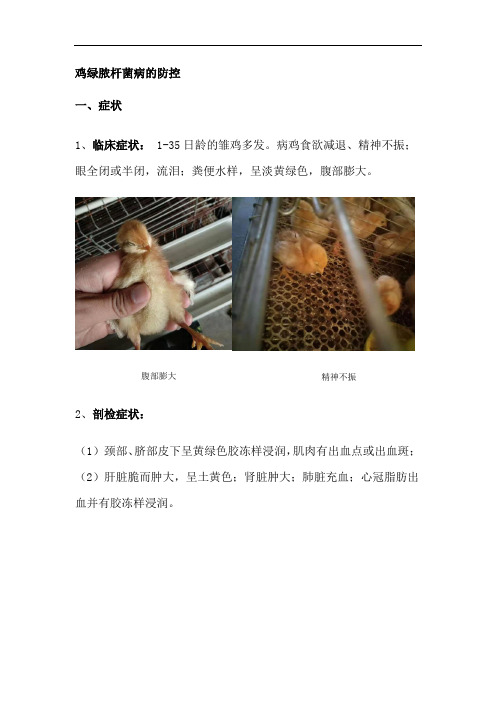 鸡绿脓杆菌病治疗方案