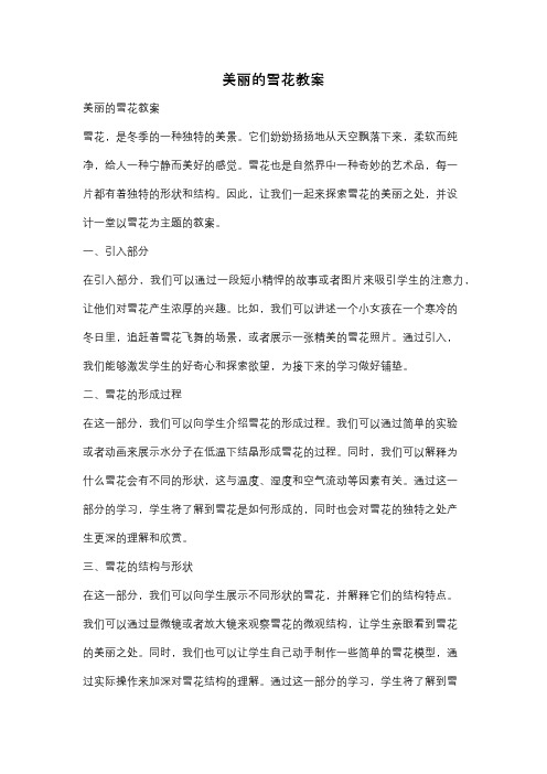 美丽的雪花教案