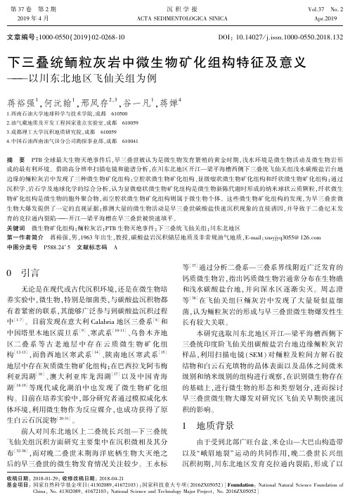 下三叠统鲕粒灰岩中微生物矿化组构特征及意义——以川东北地区飞仙关组为例