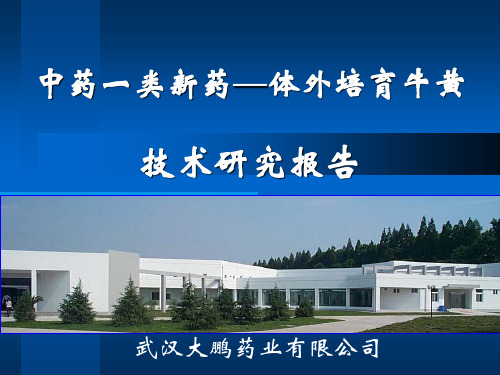 体外培育牛黄技术幻灯PPT课件