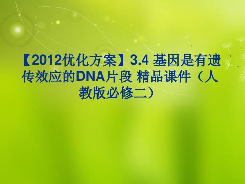高中生物《第三章 第四节 基因是有遗传效应的DNA片段》课件 新人教版必修2